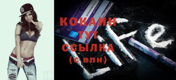 гидра Гусев