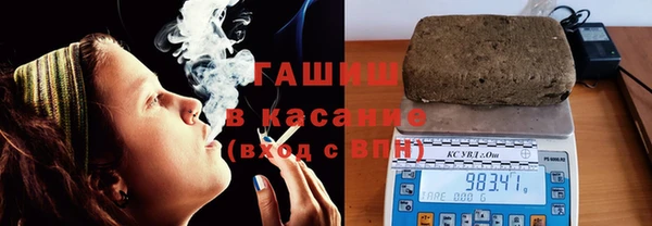 гидра Гусев