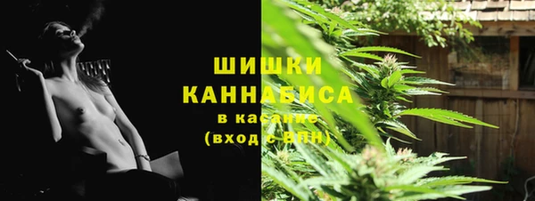 гидра Гусев