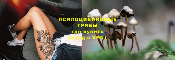 гидра Гусев