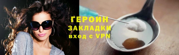гидра Гусев