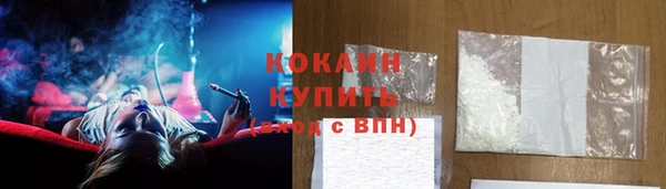 гидра Гусев