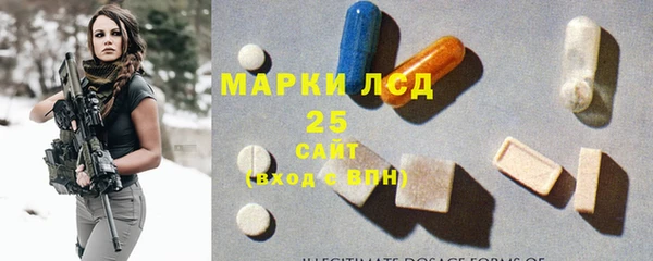 гидра Гусев