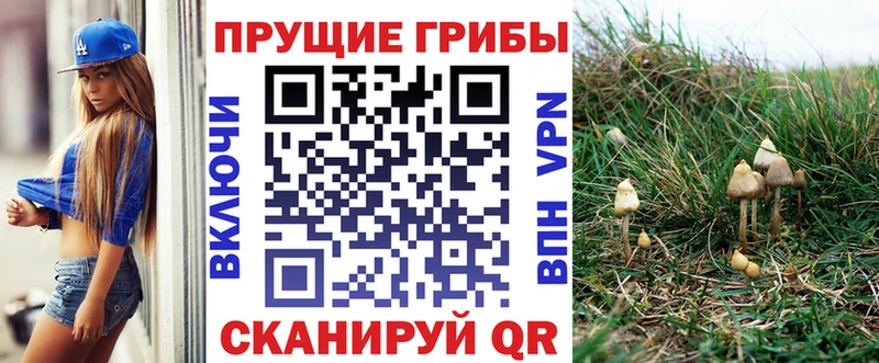 Псилоцибиновые грибы ЛСД Темников